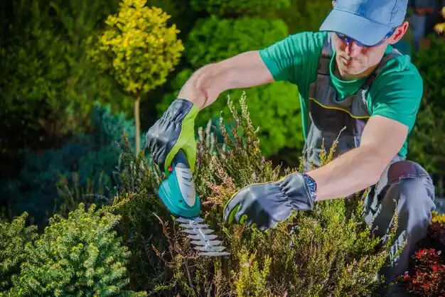landscaping services Hazlehurst